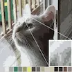 Image Quantization project thumbnail